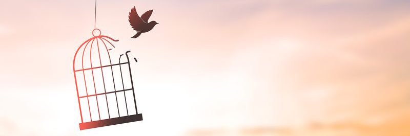 DR_joems's profile banner image