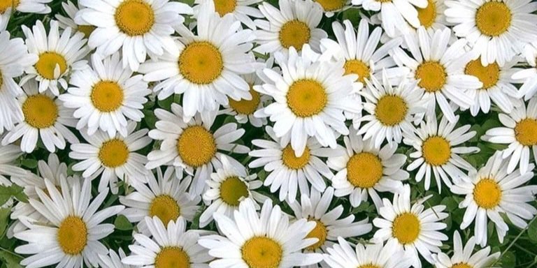 EmmaSmith_oxo's profile banner image