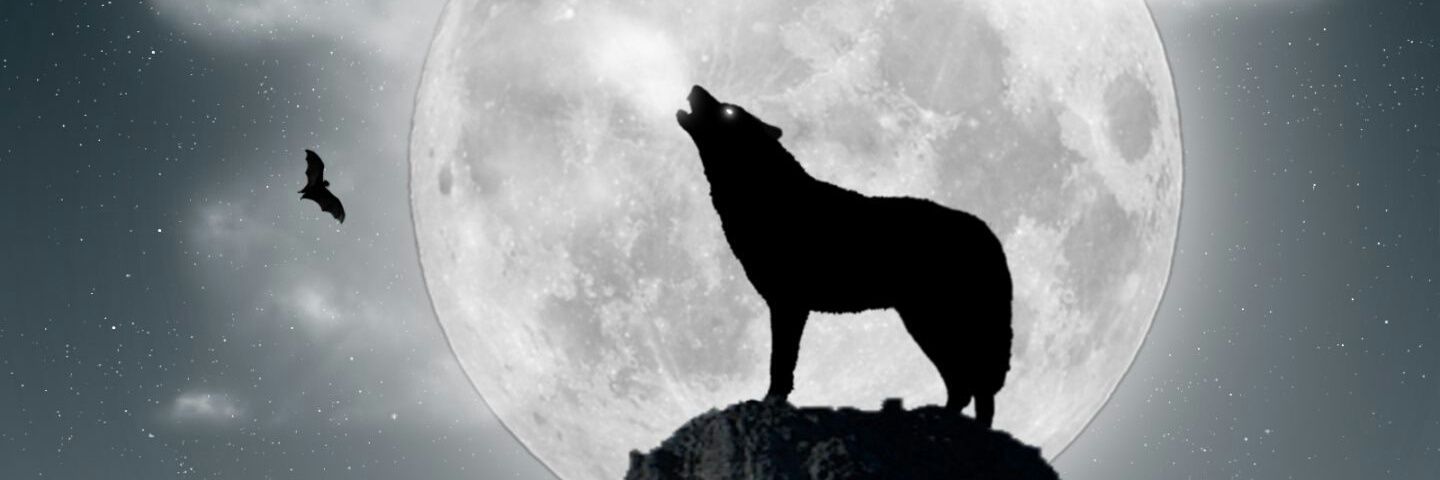 Piruloncillo's profile banner image