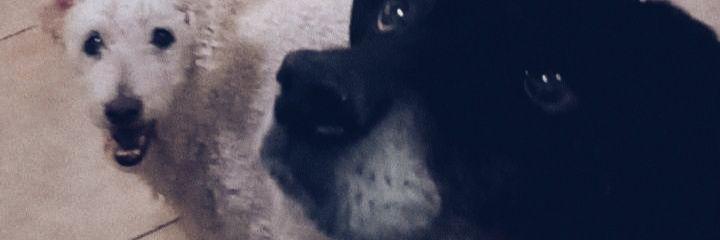 agusgarello's profile banner image