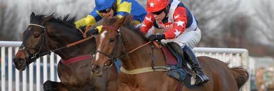 Collette Townroe banner