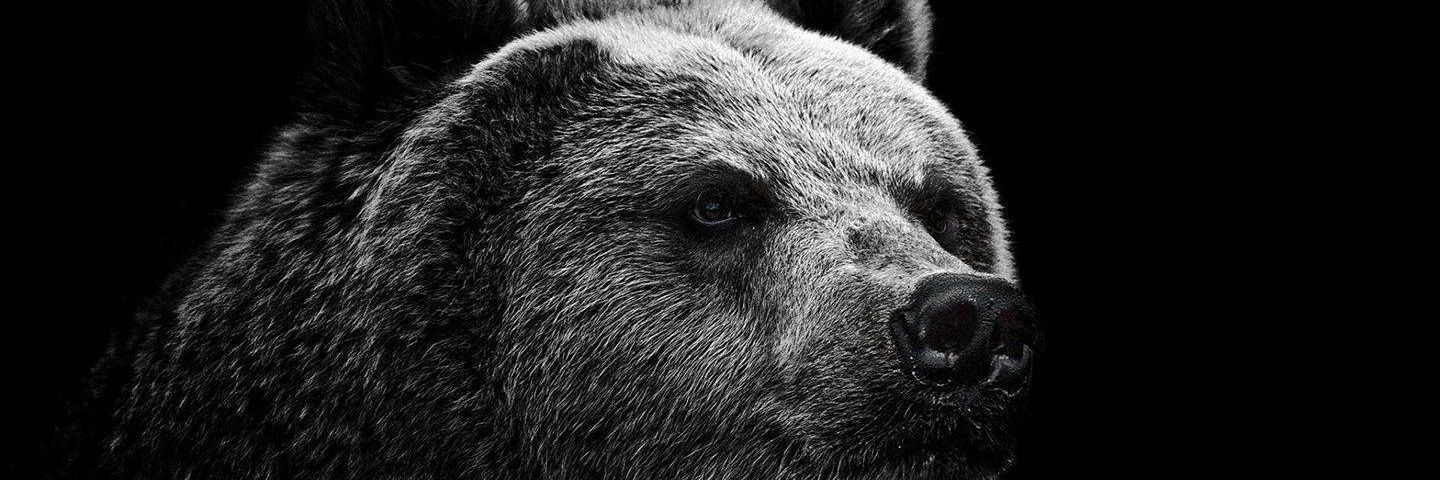 MFarrux's profile banner image