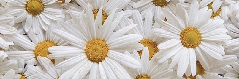 amanahilham's profile banner image