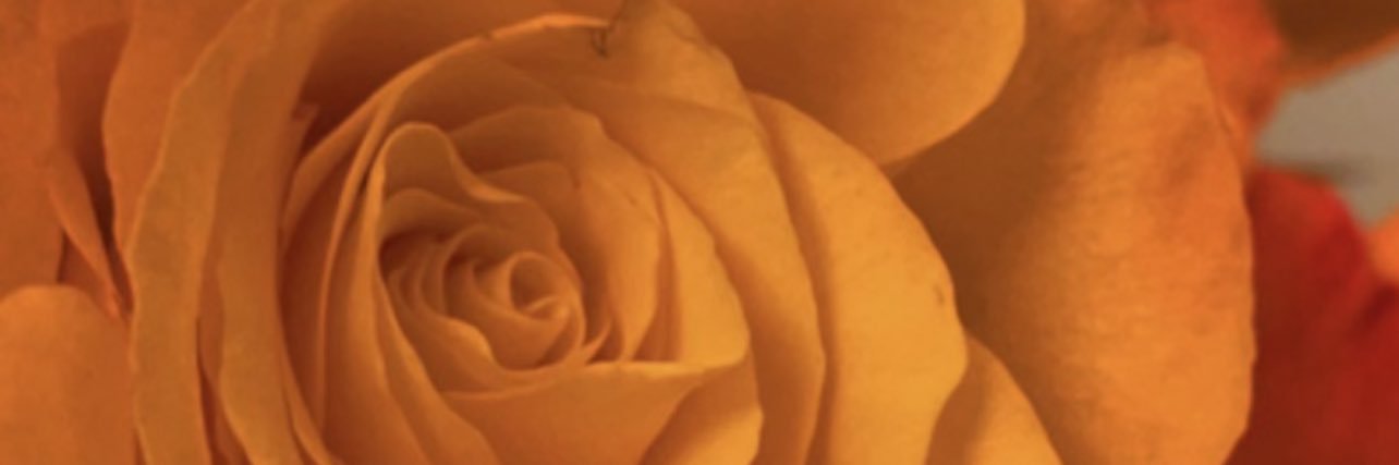 aliya6989's profile banner image