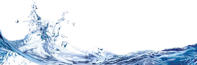 Eloi Gómez banner