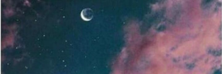 Cele_mika_'s profile banner image