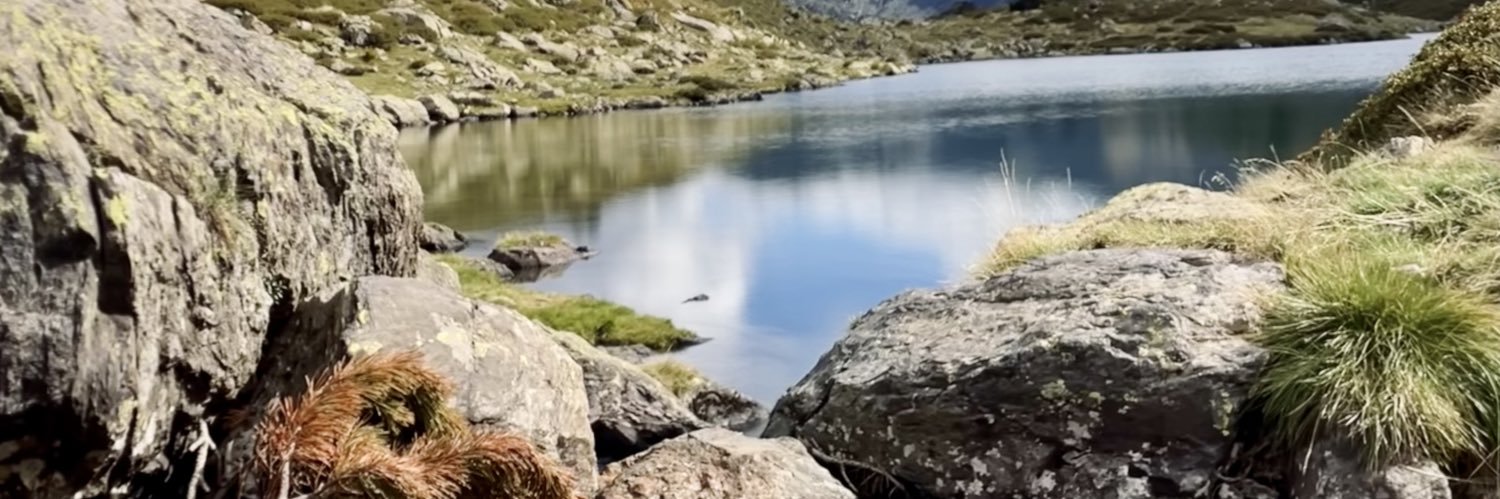 noA Toledo Arnon banner