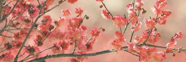 haleighmadelein Profile Banner