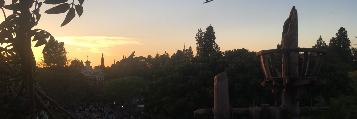 allybrauny's profile banner image