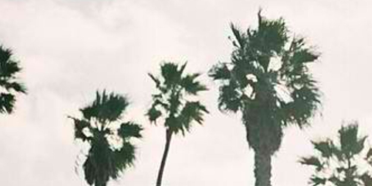 vorecforce's profile banner image