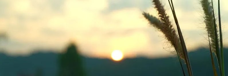 faha10d's profile banner image