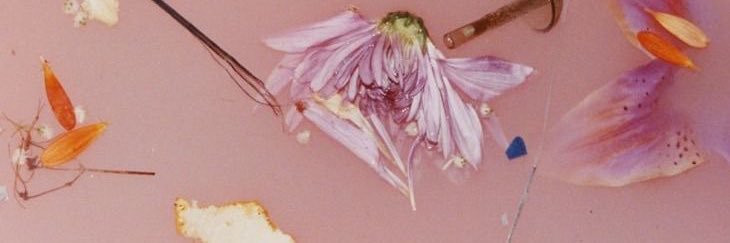 priolicamila's profile banner image