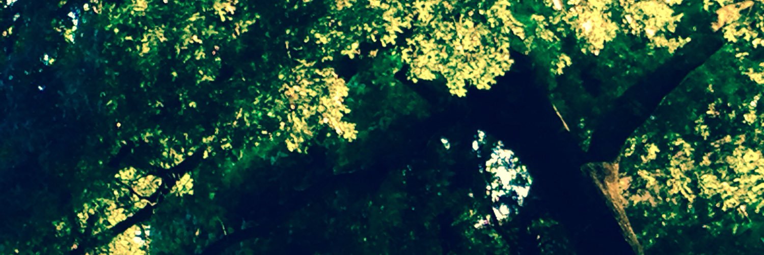 Twentyone_Noely's profile banner image
