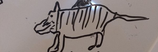 TamiCru Profile Banner