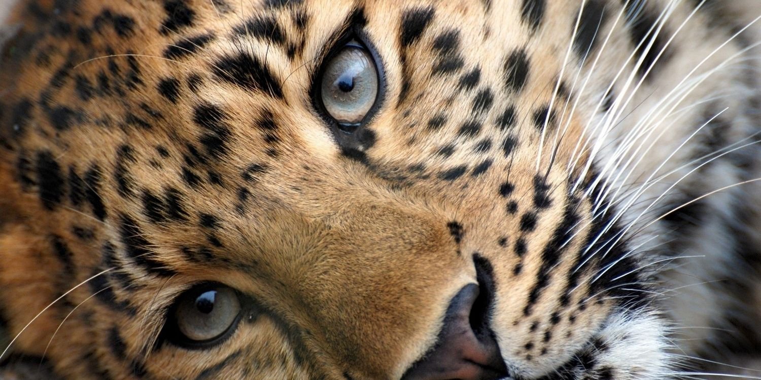 MaluuGar's profile banner image