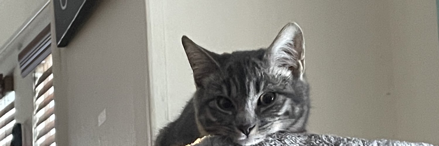 siahcarter's profile banner image