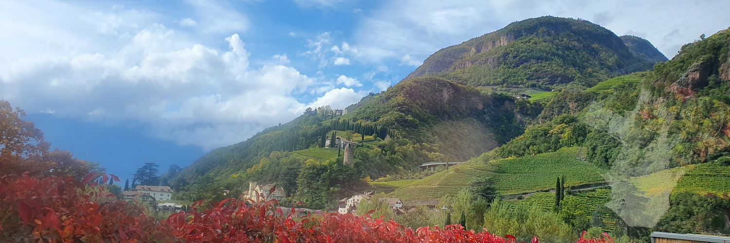 talaskatomasz's profile banner image