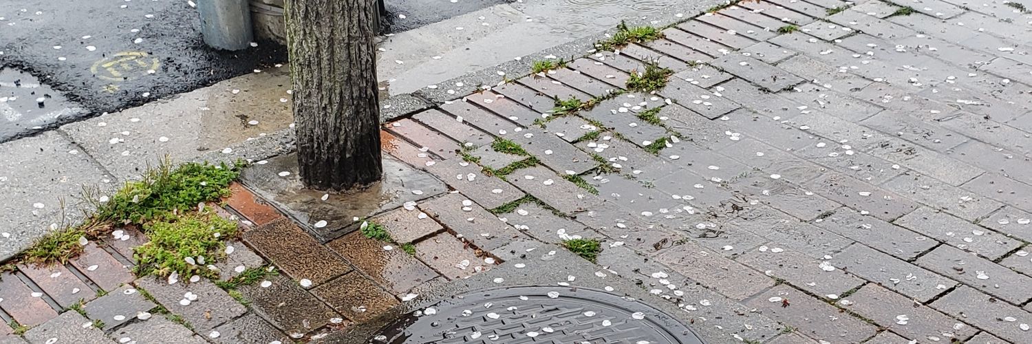 Mercy 💖✍ banner