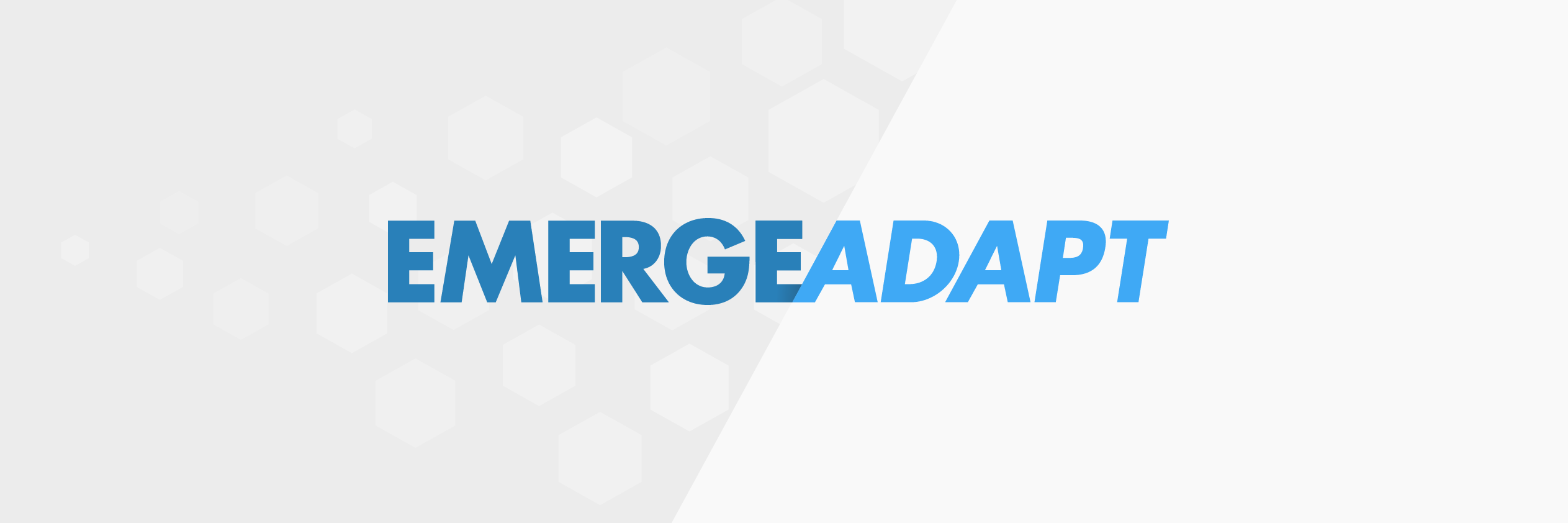 EmergeAdapt banner