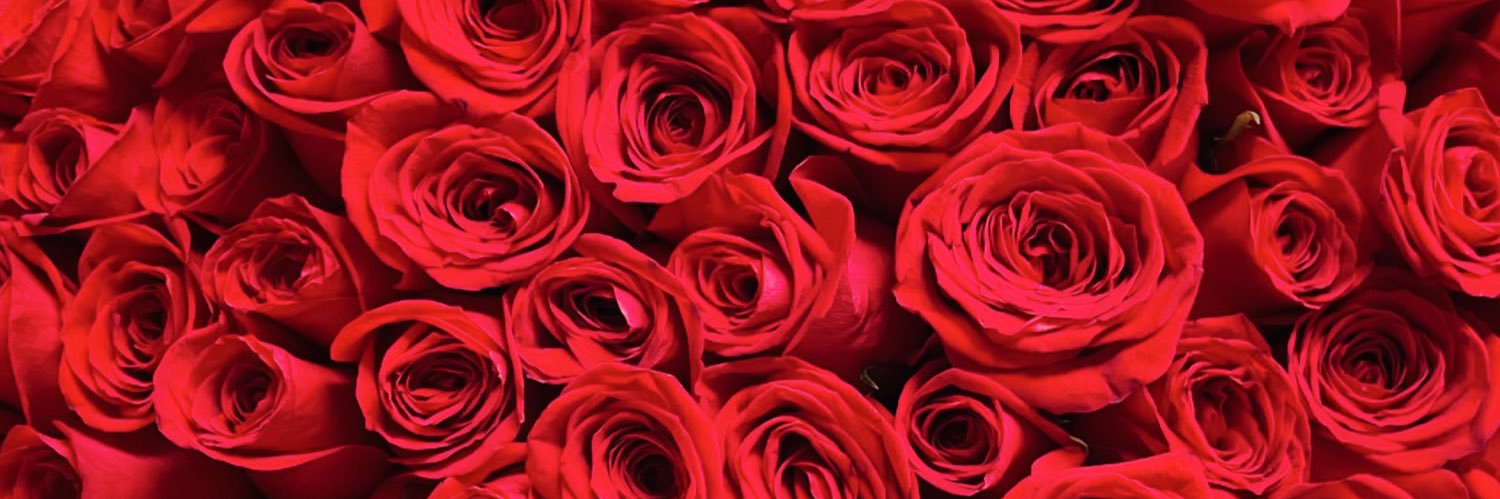 Fani_ee's profile banner image