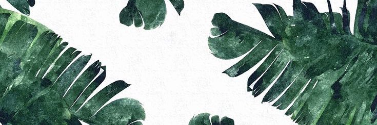 jacquestx's profile banner image