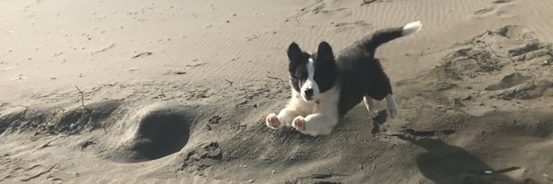 harleypato's profile banner image