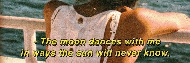 zehraaoksar's profile banner image