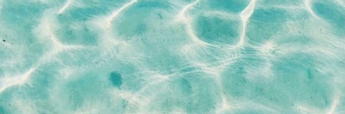 annabeltuithof's profile banner image