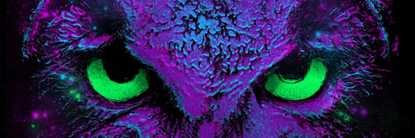 Syamcul_B's profile banner image