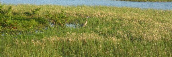 NMedina5 Profile Banner