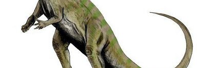 Nikol_stpd's profile banner image