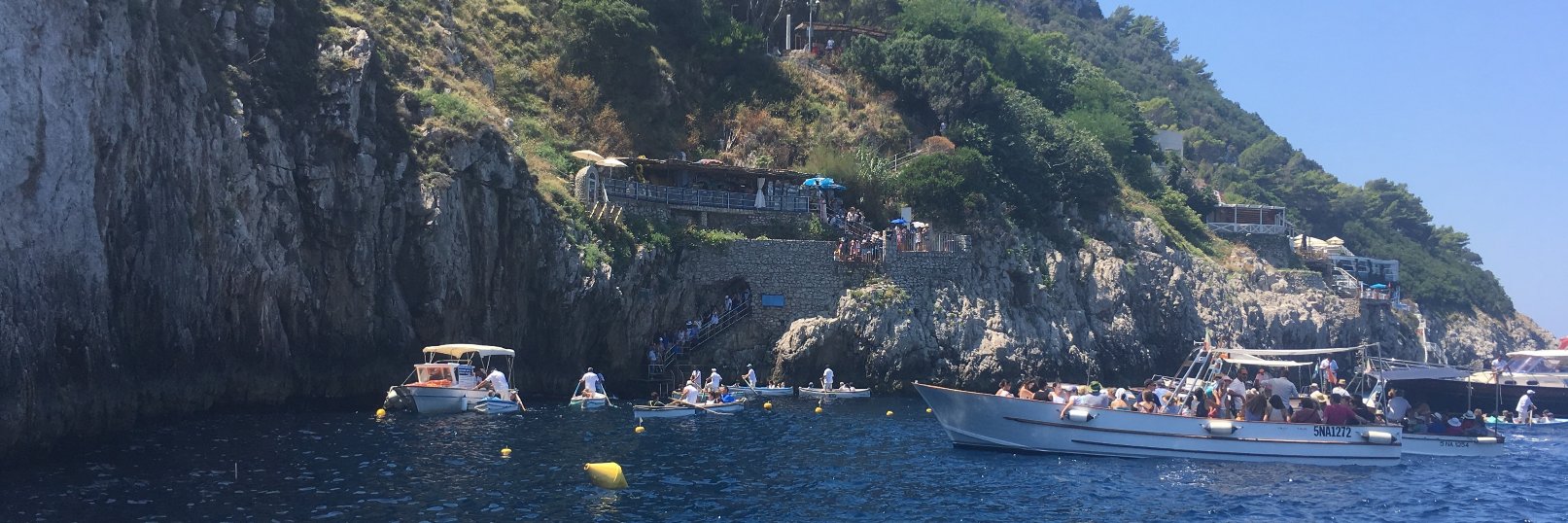 Shivani Gonzalez banner