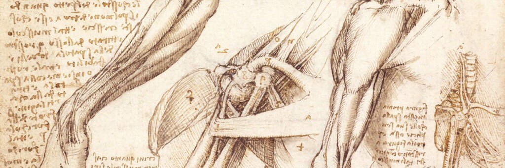 Medical Humanities banner