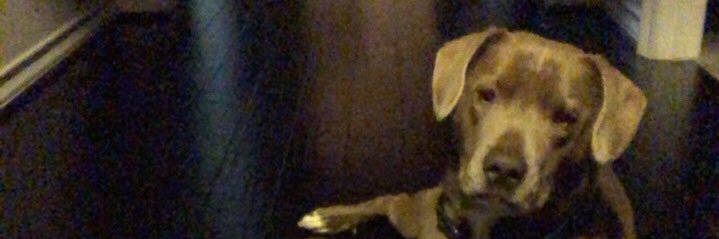 ericgordonburns's profile banner image