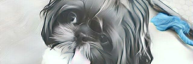 Adri Figueroa banner