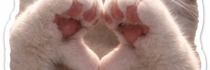 nerdfangz's profile banner image