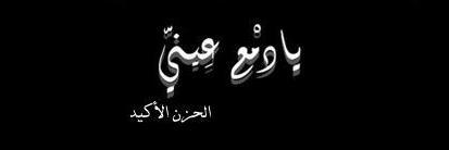 llb__'s profile banner image