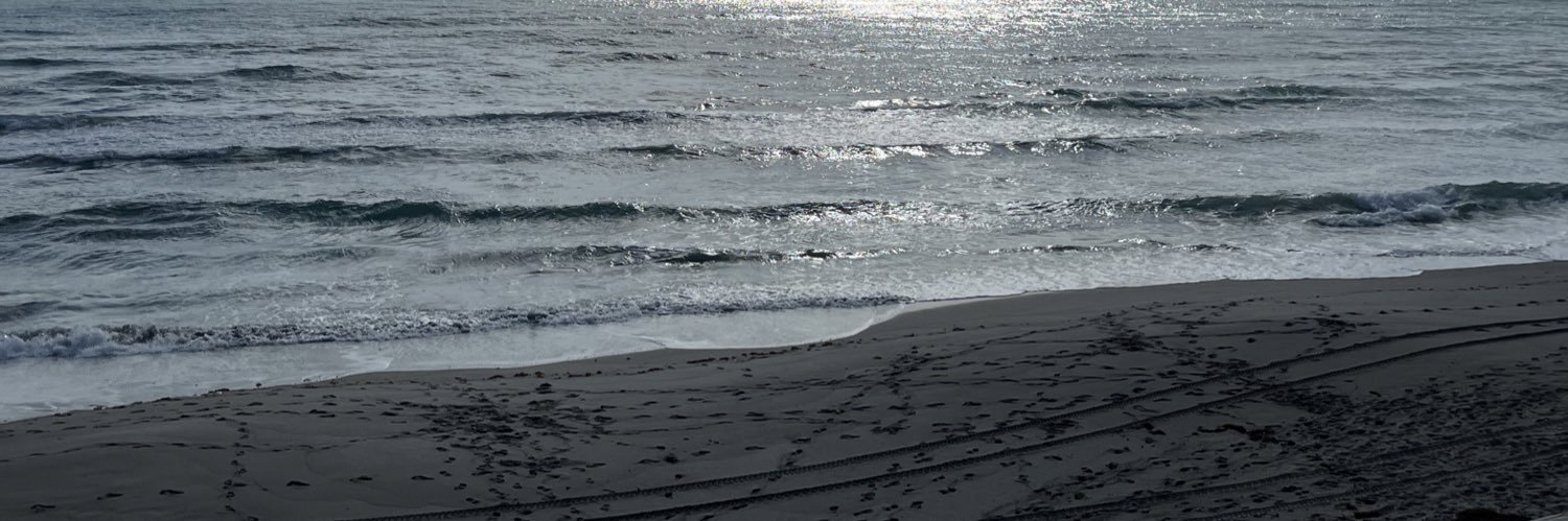 victoriawirth3's profile banner image