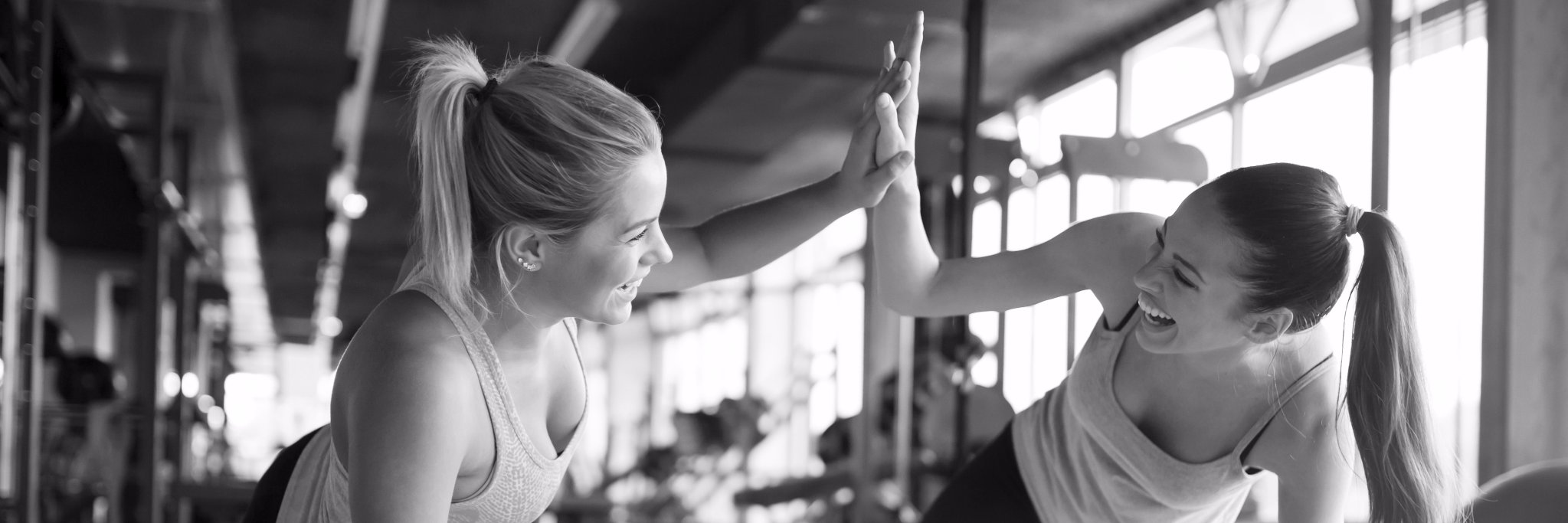 The Factory Team banner