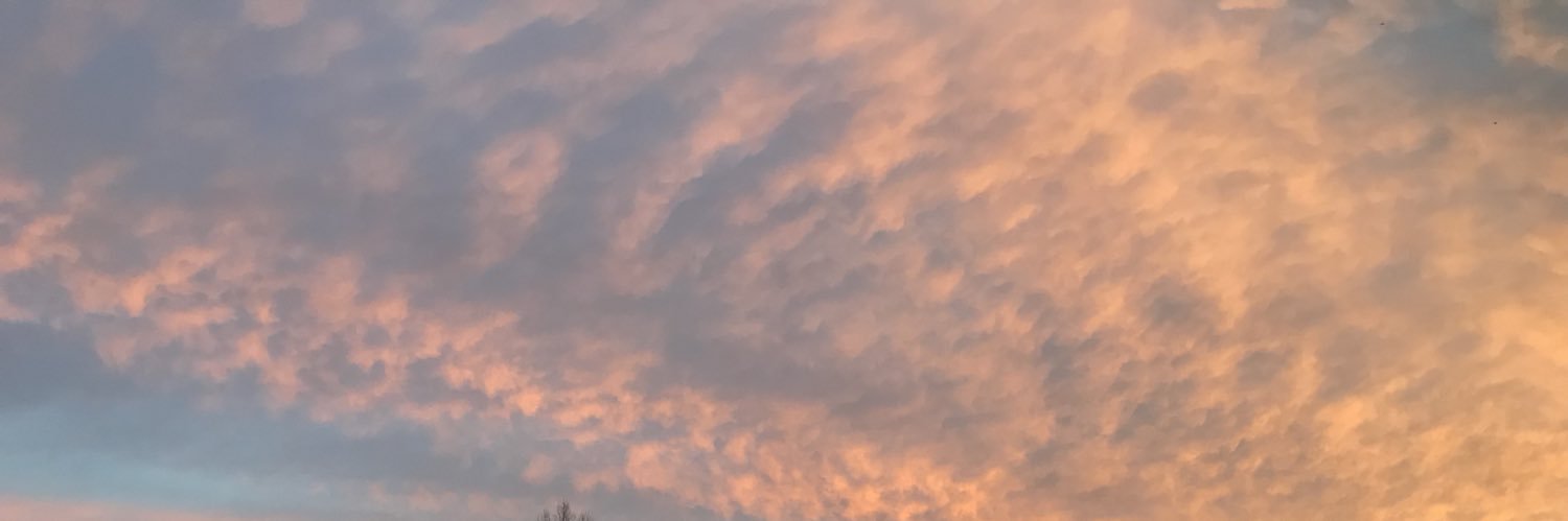 char_in_charge_'s profile banner image