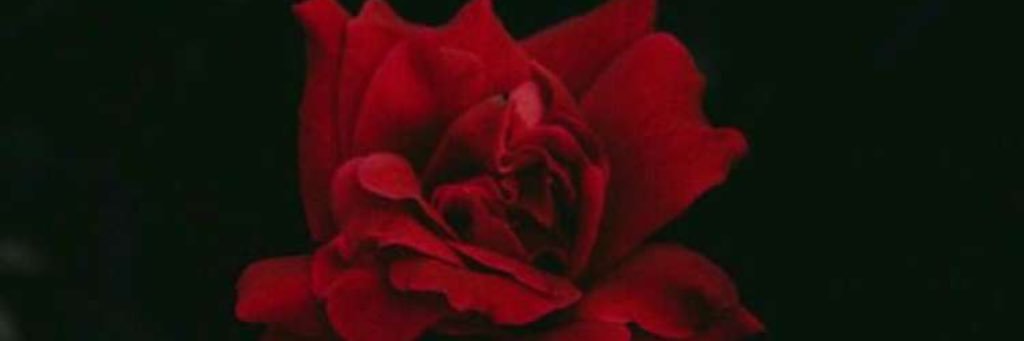 za_k_j's profile banner image