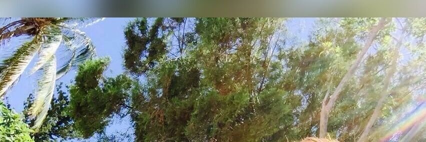Allen_Child's profile banner image