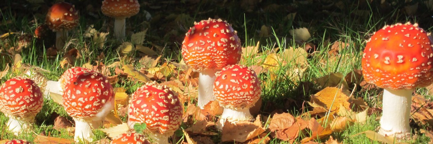 Cathy Tuttle supports Good Trouble banner