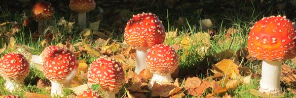 CathyTuttle Profile Banner