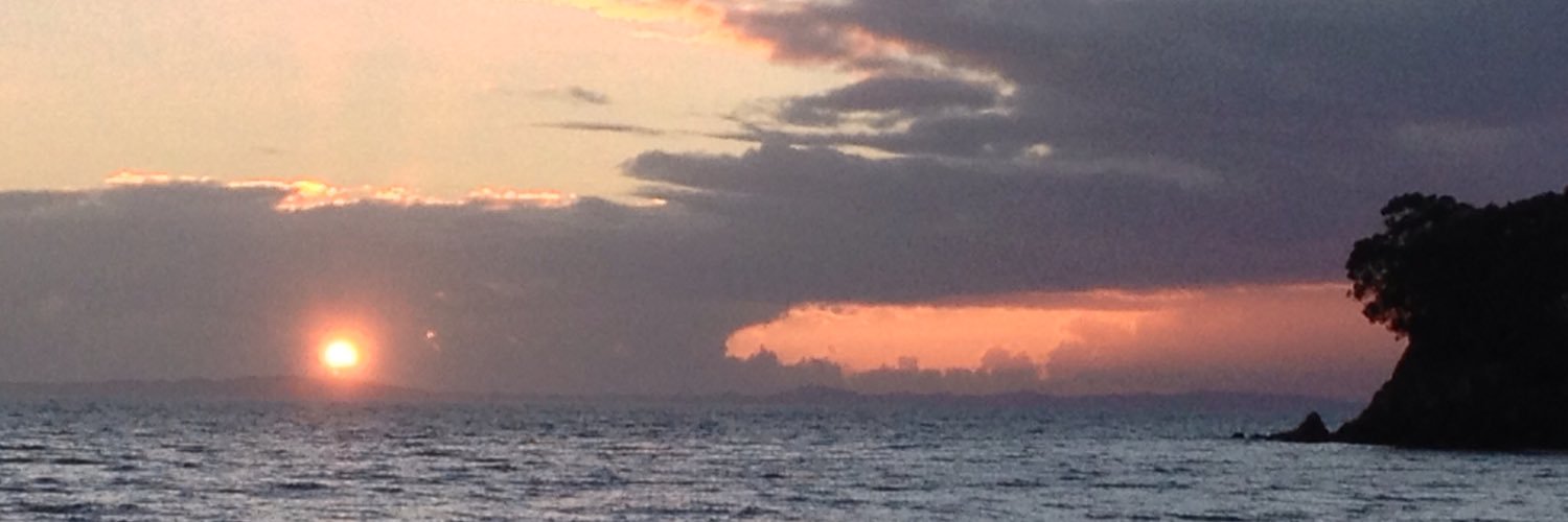 maribalboni's profile banner image