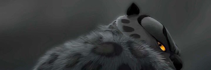 Blaise Beauchamp banner