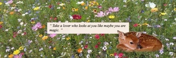 cerllang Profile Banner