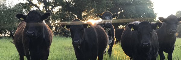 jimmysfarm Profile Banner