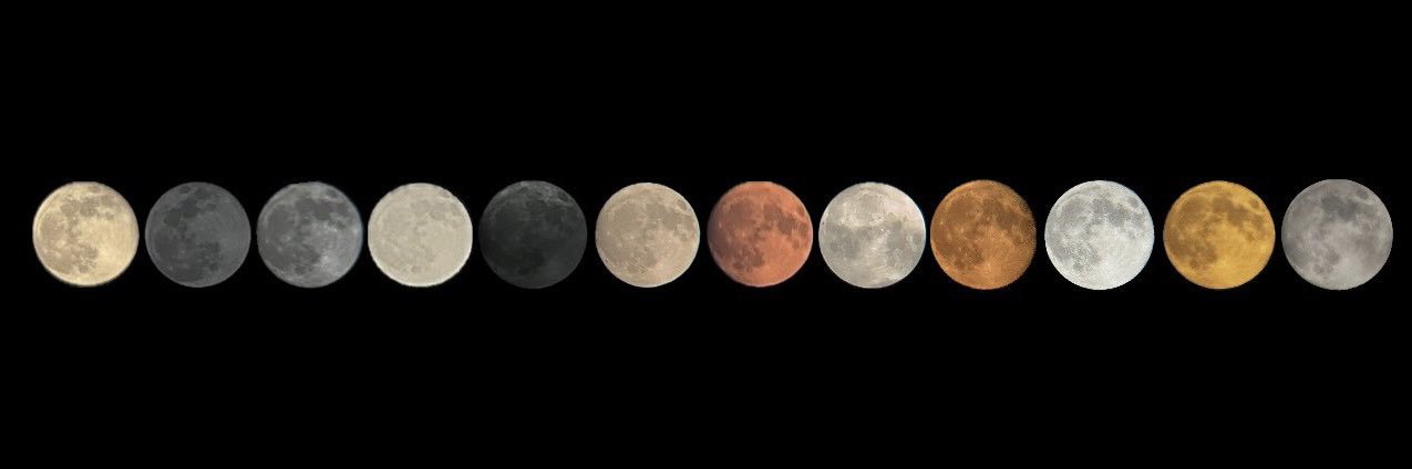 young waxing gibbous 🌔's banner