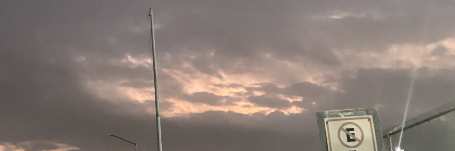 satanssie's profile banner image